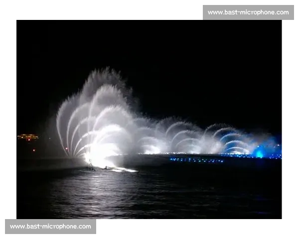 夜骑西湖:杭州青年的浪漫通勤美学 夜骑西湖:杭州青年的浪漫通勤美学